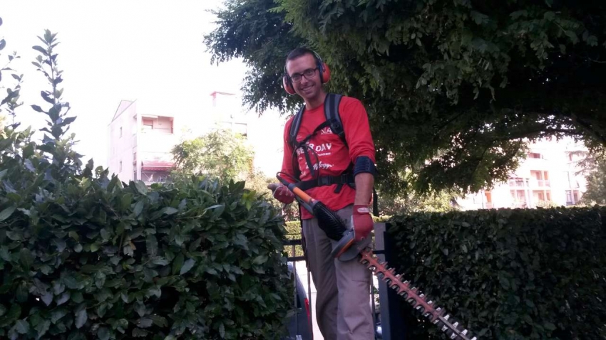 Potatura siepi a Prato