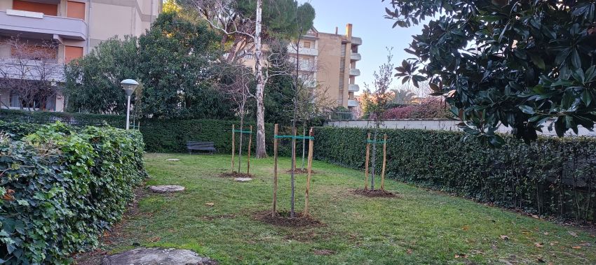Nuovi Alberi